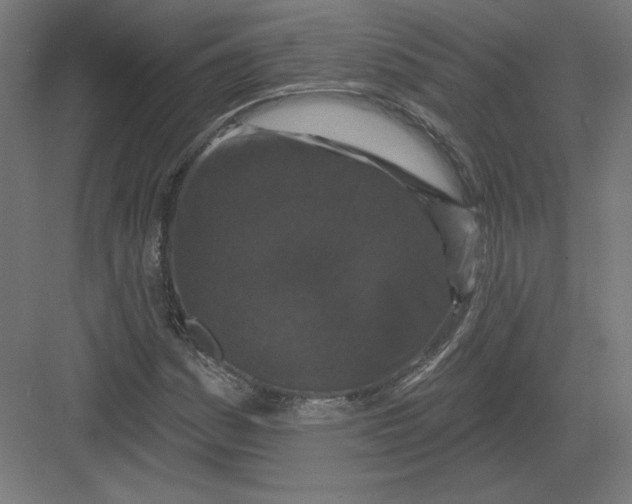 X0000082181161200702092302