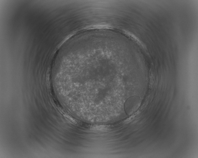 X0000082181162200702092302