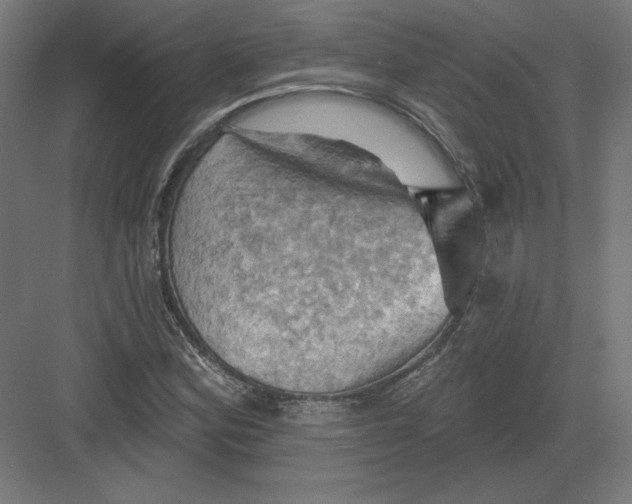 X0000082181164200702092302