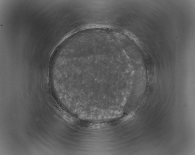 X0000082181165200702092302