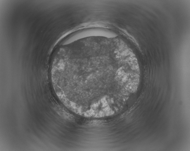 X0000082181166200702092302