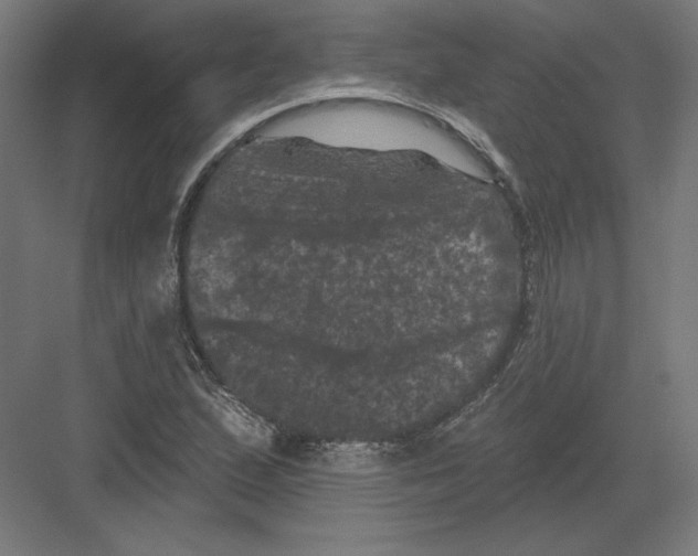 X0000082181167200702092302