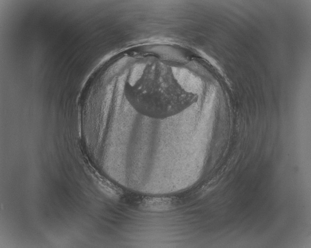 X0000082181171200702092302