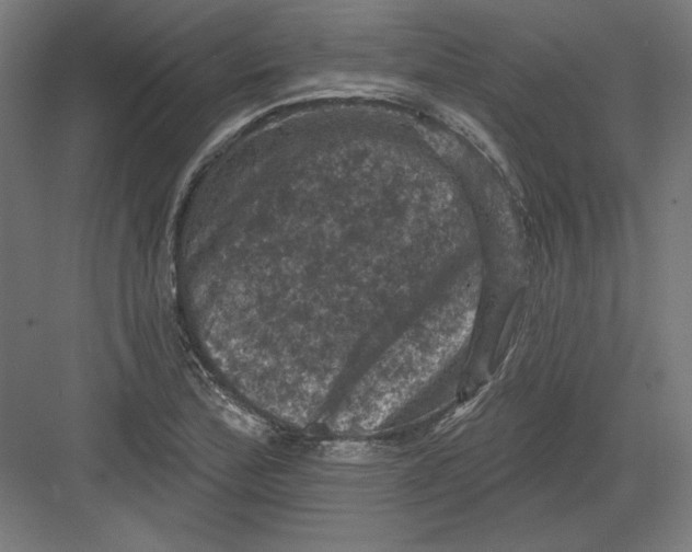 X0000082181172200702092302