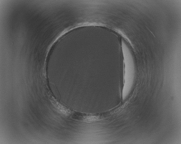 X0000082181173200702092301