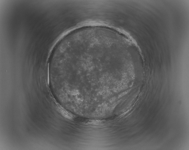 X0000082181175200702092301