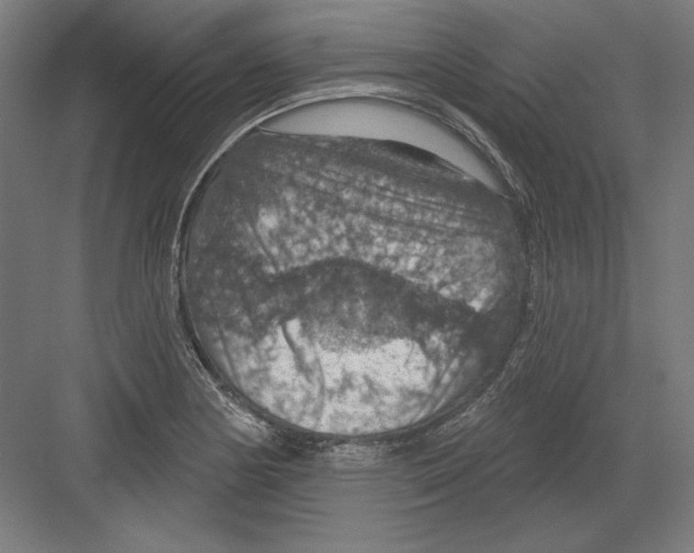 X0000082181178200702092301