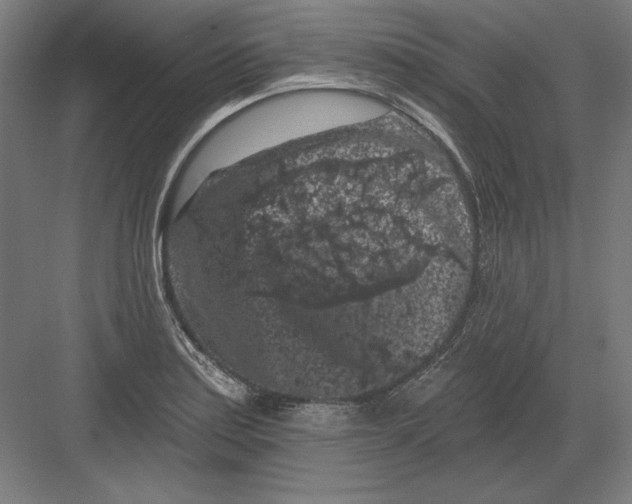 X0000082181179200702092301