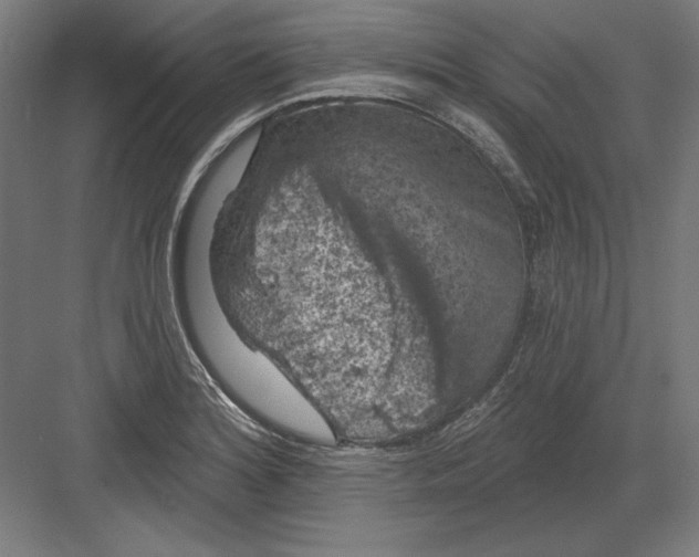 X0000082181180200702092301