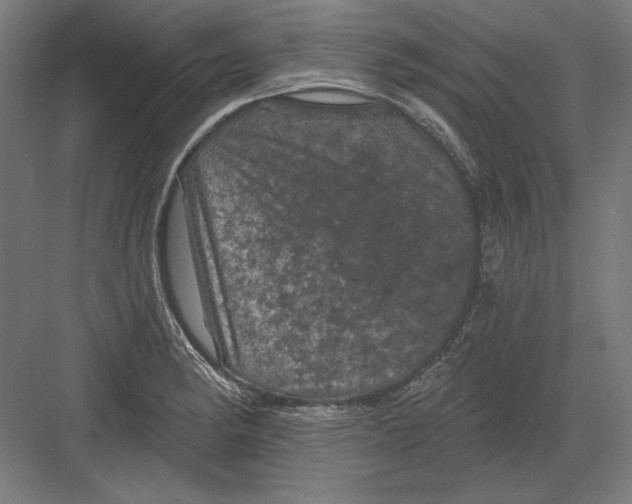 X0000082181182200702092301