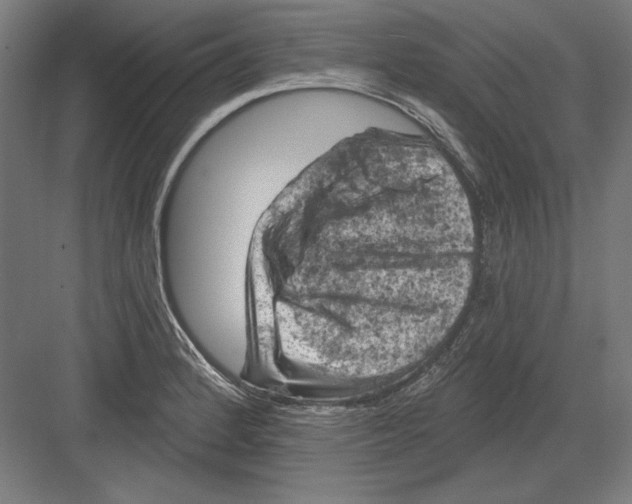 X0000082181184200702092301