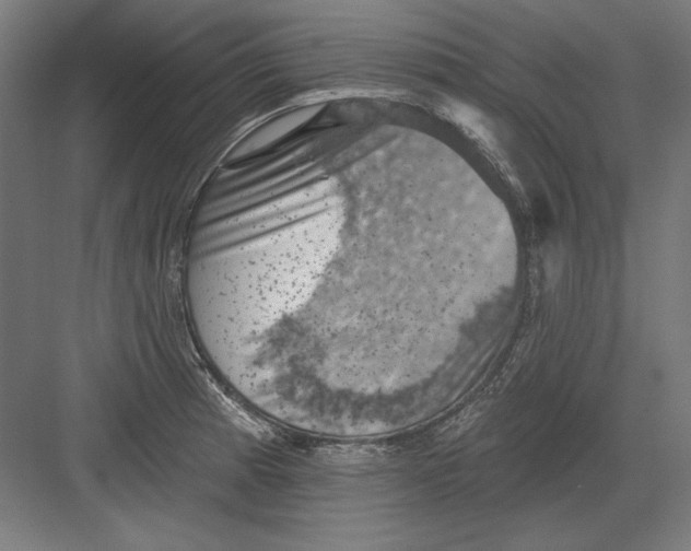 X0000082181185200702092301