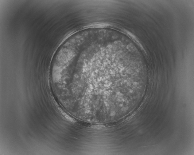 X0000082181186200702092301