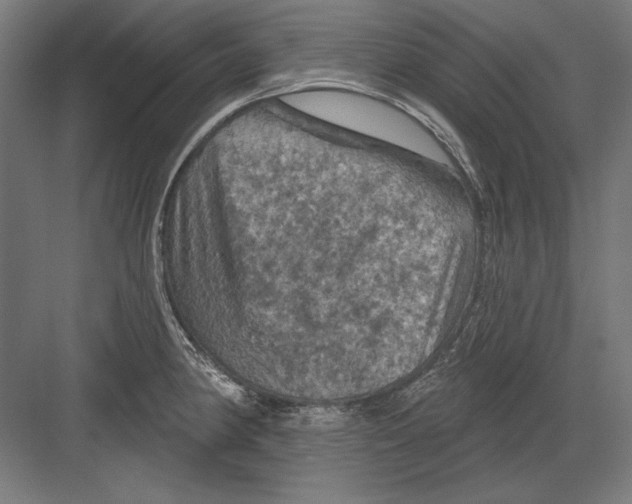 X0000082181190200702092301