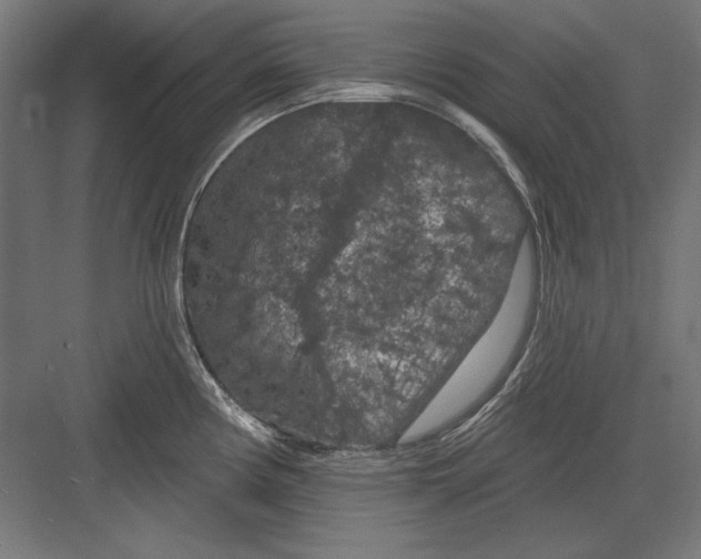 X0000082181194200702092301
