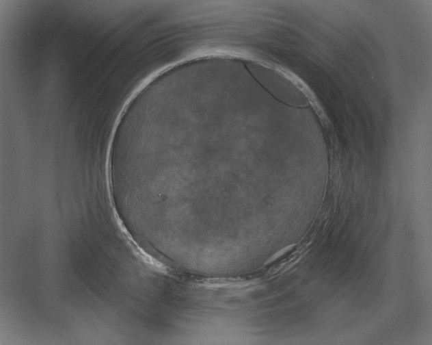 X0000082181199200702092301