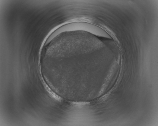X0000082181200200702092301