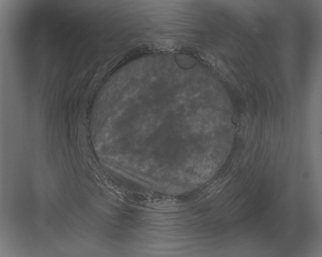 X0000082181201200702092300