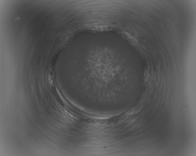 X0000082181202200702092300