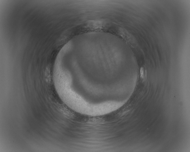 X0000082181203200702092300