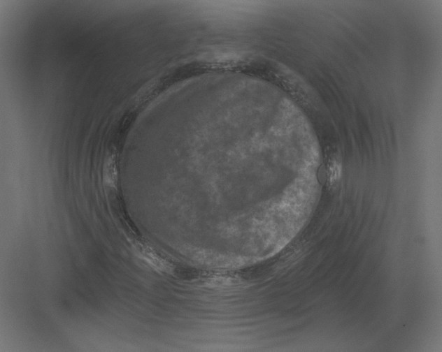 X0000082181204200702092300