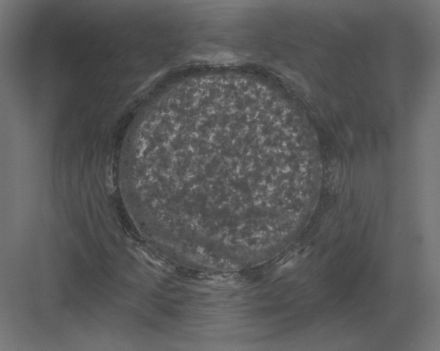 X0000082181205200702092300