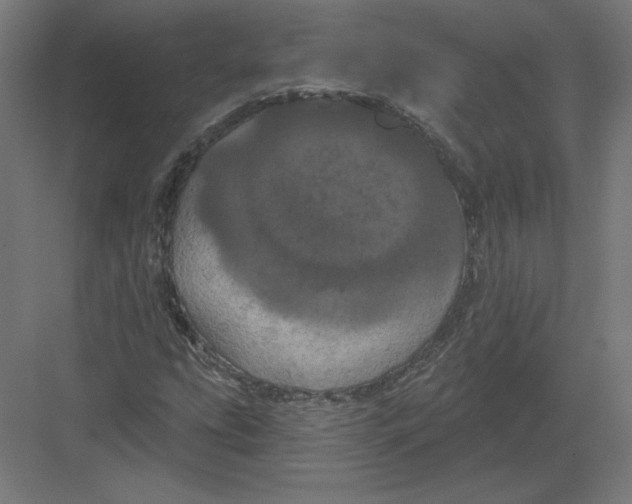 X0000082181207200702092300