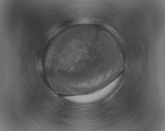X0000082181209200702092300
