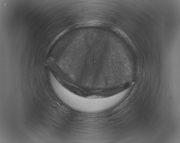 X0000082181210200702092300