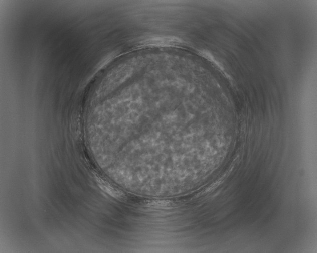 X0000082181211200702092300
