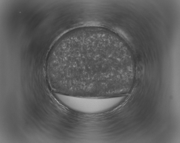 X0000082181212200702092300