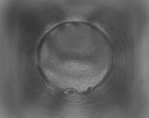 X0000082181215200702092300