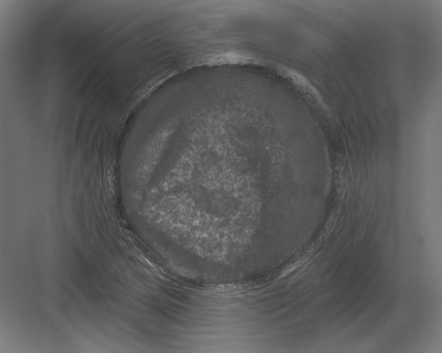 X0000082181217200702092301