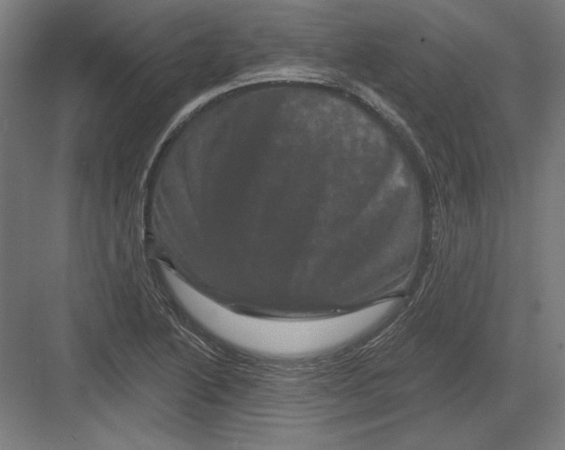 X0000082181222200702092301