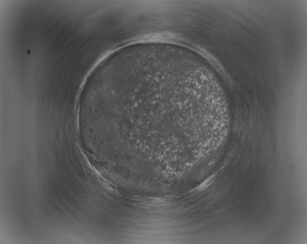 X0000082181224200702092301