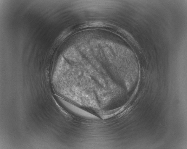 X0000082181225200702092301