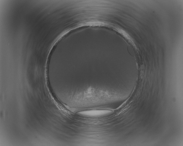 X0000082181229200702092301