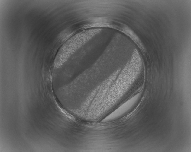 X0000082181241200702092301