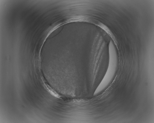 X0000082181242200702092301