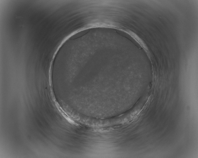 X0000082181246200702092301