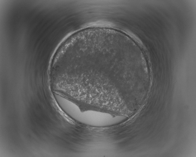 X0000082181248200702092301