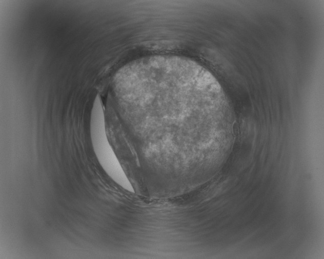 X0000082181250200702092300