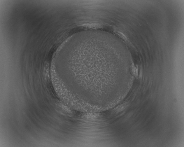X0000082181251200702092300