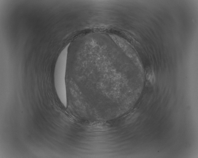 X0000082181252200702092300