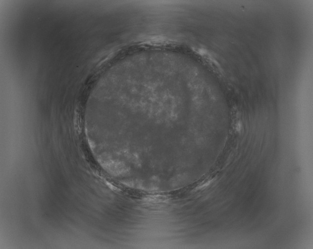 X0000082181253200702092300