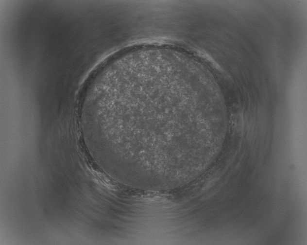 X0000082181256200702092300