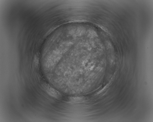 X0000082181257200702092300