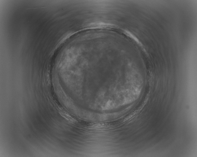 X0000082181259200702092300