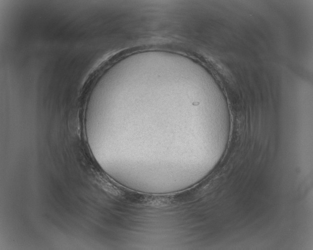 X0000082181262200702092300