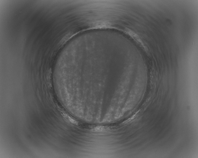 X0000082181265200702092300